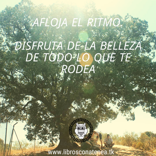 afloja el ritmo - frase de reflexión