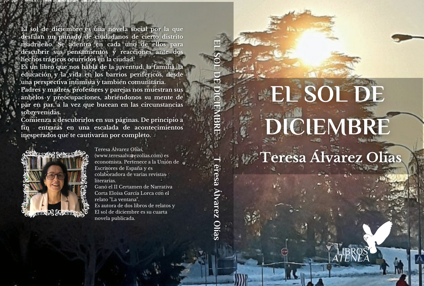 El sol de diciembre ▷ Teresa Álvarez